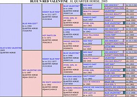 Quarter Horse (Quarter Horse, Gelding) in Columbia, MO