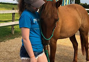 Mustang (Mustang, Mare) in Fort Atkinson, WI
