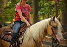 Quarter Horse - Horse for Sale in Bakersfield, CA 93301 Quarter Horse - Horse for Sale in Bakersfield, CA 93301