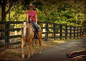 Quarter Horse (Quarter Horse, Mare) in Bakersfield, CA