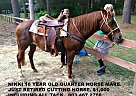 Nikki Quarter Horse Mare