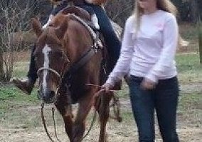 Nikki (Quarter Horse, Mare) in Chapin, SC