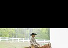 Quarter Horse - Horse for Sale in Coosa, GA 30165
