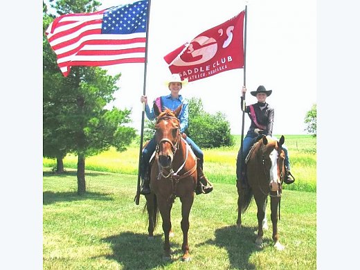 Show/4H Horse for Sale