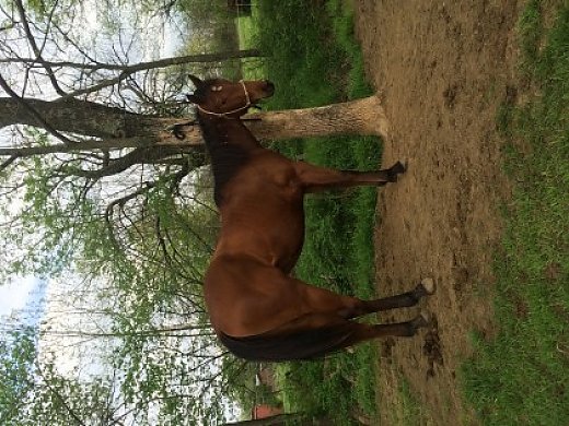 Packin Six Grand Daughter
