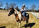 Nora - Mare in Irmo, SC Nora - Mare in Irmo, SC