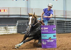 Quarter Horse (Quarter Horse, Mare) in Burleson, TX