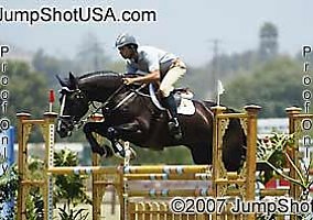 Warmblood (Warmblood, Stallion) in Chino, CA