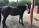 - Mare in College Station, TX - Mare in College Station, TX