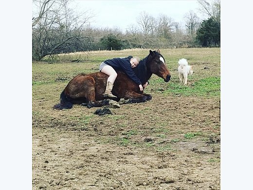 Selling a Very Special Horse