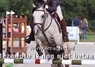 Pony - Horse for Sale in Gytsjerk (giekerk),  9061CM