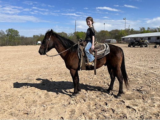Kids Rodeo Horse/Heel Horse