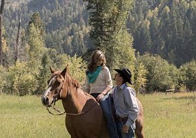 Quarter Horse (Quarter Horse, Mare) in Mancos, CO