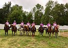 Daisy parks - Mare in Bloomfield, IN Daisy parks - Mare in Bloomfield, IN