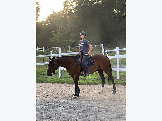 Thoroughbred Mare for Sale