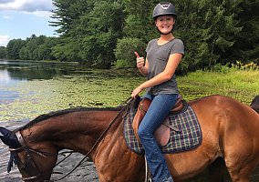 Thoroughbred (Thoroughbred, Mare) in Harwinton, CT