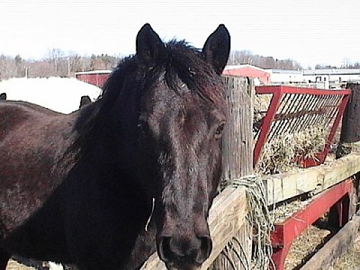 Wonderful and Loving, Just Needs Time