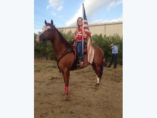 2005 Registered APHA Gelding