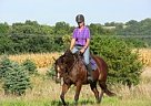 Finders Keepers, AKA Nola Thoroughbred Mare