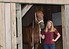Uzi - Gelding in Park Hills, MO Uzi - Gelding in Park Hills, MO