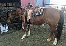 Nice Mare Teqita Dunnit Chloe