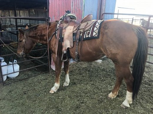 Nice Mare