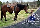 Quarter Horse - Horse for Sale in Peggs, OK 74452