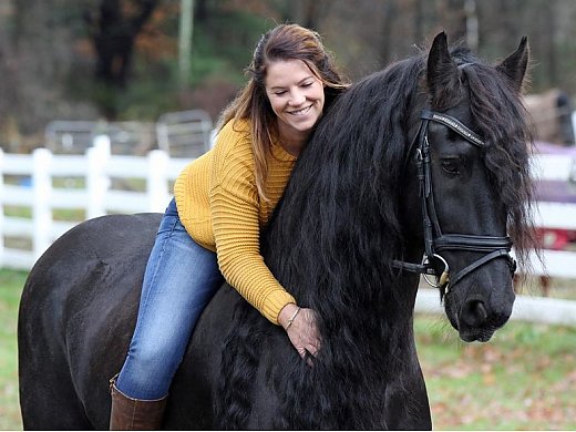 Best Friesian Mare