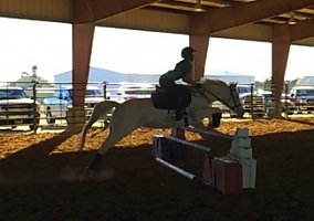 Appaloosa (Appaloosa, Mare) in Nacogdoches, TX