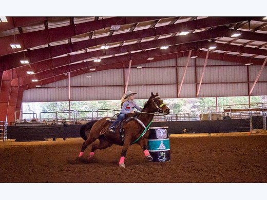 1d Barrel Racing 1D PRO Barrel Horse