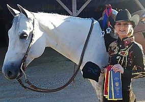 Quarter Horse (Quarter Horse, Gelding) in Trafalgar, IN