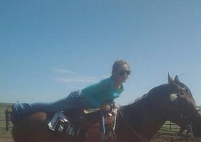 Quarter Horse (Quarter Horse, Mare) in Cheyenne, WY