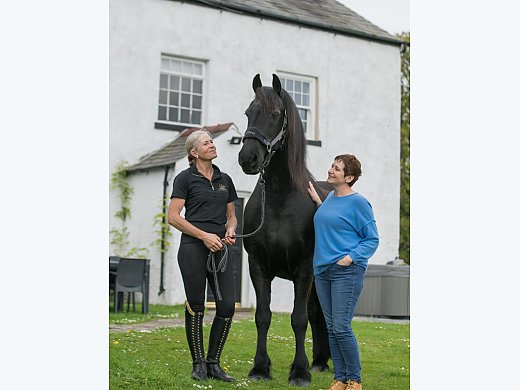 New Home for my Friesian Mare