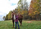 Other - Horse for Sale in Fredericktown, OH 43019