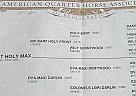 Quarter Horse - Horse for Sale in Sebeka, MN 56477 Quarter Horse - Horse for Sale in Sebeka, MN 56477