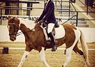 Redemption - Mare in Lexington, KY Redemption - Mare in Lexington, KY