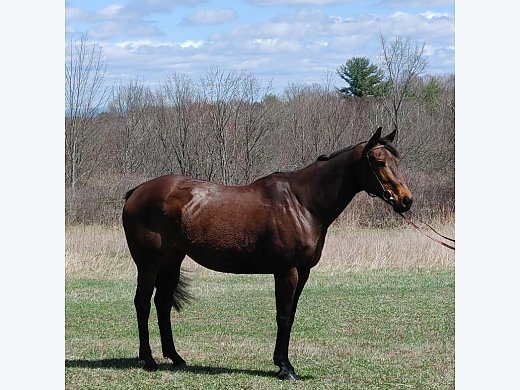 Your Next Eq TB Is Here