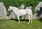 Luna - Mare in Houston, TX Luna - Mare in Houston, TX