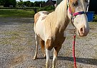 Mia - Mare in Shelbyville, TN Mia - Mare in Shelbyville, TN