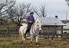 Stormy - Mare in Rockingham, VA Stormy - Mare in Rockingham, VA