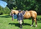 Quarter Horse Mare for Sale in Collegeville, Pennsylvania Quarter Horse Mare for Sale in Collegeville, Pennsylvania