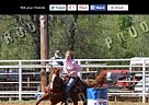 Quarter Horse - Horse for Sale in Bee Branch, AR 72013