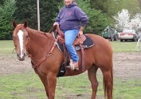 Quarter Horse (Quarter Horse, Mare) in San Antonio, TX