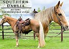 Missouri Fox Trotter - Horse for Sale in Houston, MO 65483 Missouri Fox Trotter - Horse for Sale in Houston, MO 65483