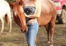 Super Nice AQHA Roan Mare In Foa... Cudas Irish Joy