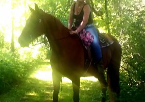 Missouri Fox Trotter (Missouri Fox Trotter, Mare) in Dodge Center, MN