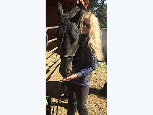 Brave Friesianemare
