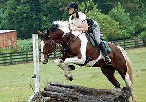 Flashy Made Fox Hunter Paint Stallion