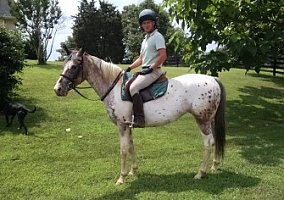 In Your Pocket Gem Appaloosa Mare