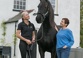 Friesian